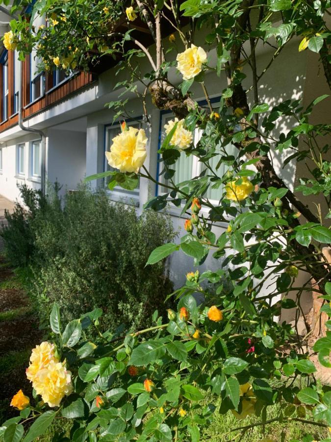 Apartment Am Krippenhof *