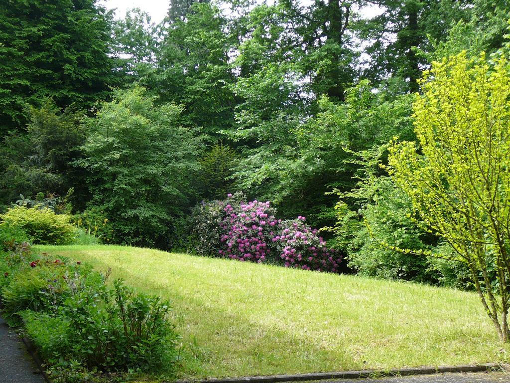 Apartment Am Krippenhof Baden-Baden
